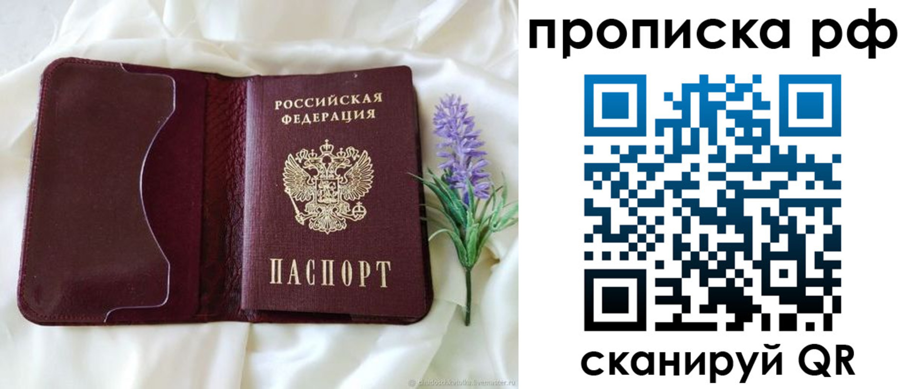 временная регистрация адрес в Елизово